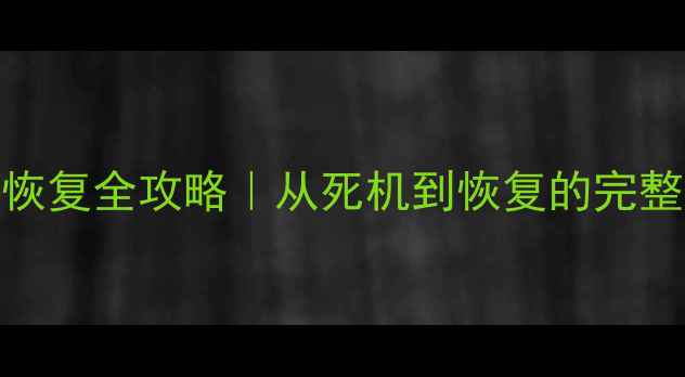 12TB硬盘数据恢复全攻略从死机到恢复的完整步骤避坑指南