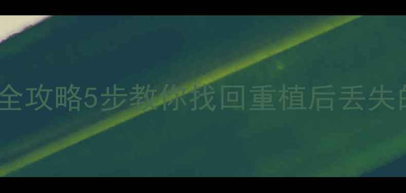 图片 🔥CPU数据恢复全攻略5步教你找回重植后丢失的珍贵文件📁💻