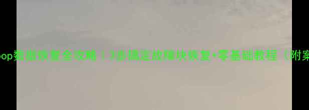 图片 🔥Hadoop数据恢复全攻略｜3步搞定故障块恢复+零基础教程（附案例）1