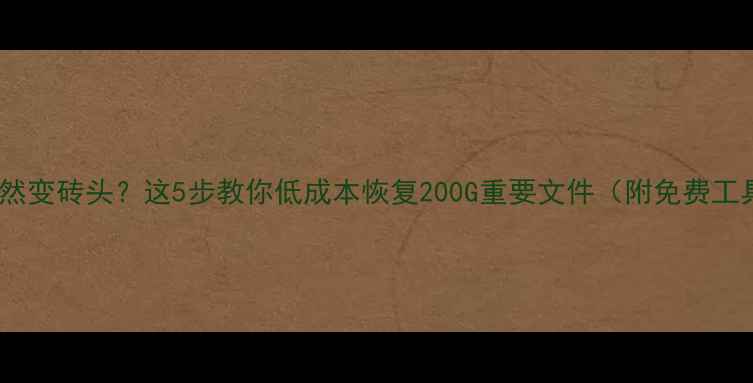 图片 🔥U盘突然变砖头？这5步教你低成本恢复200G重要文件（附免费工具清单）