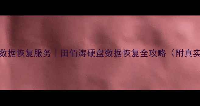 专业数据恢复服务田佰涛硬盘数据恢复全攻略附真实案例