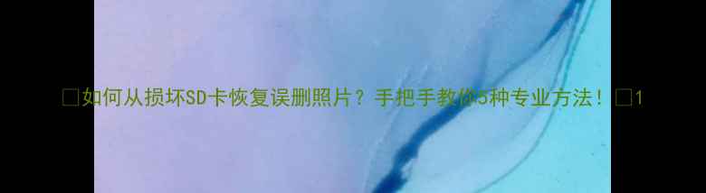 图片 🔥如何从损坏SD卡恢复误删照片？手把手教你5种专业方法！💻1