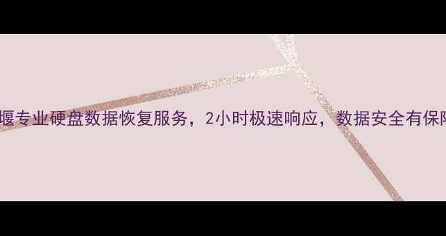 图片 🔥姜堰专业硬盘数据恢复服务，2小时极速响应，数据安全有保障！2