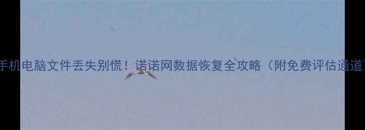 手机电脑文件丢失别慌诺诺网数据恢复全攻略附免费评估通道