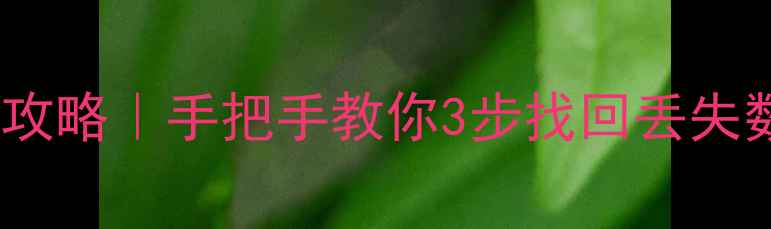 手机电脑文件恢复全攻略手把手教你3步找回丢失数据附免费工具