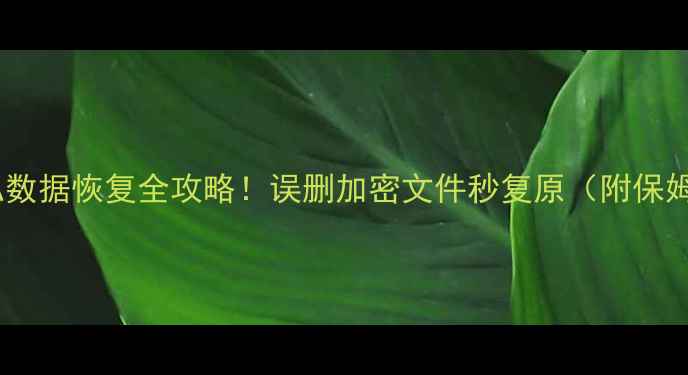 图片 🔥手机隐私数据恢复全攻略！误删加密文件秒复原（附保姆级教程）1
