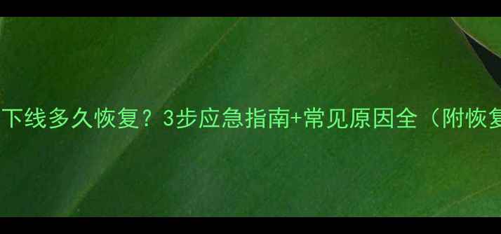 图片 🔥拼多多数据下线多久恢复？3步应急指南+常见原因全（附恢复时间表）🔥1