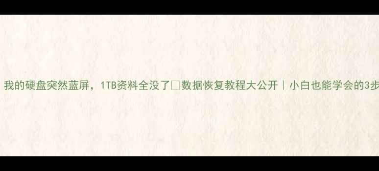 图片 🔥救命！我的硬盘突然蓝屏，1TB资料全没了😭数据恢复教程大公开｜小白也能学会的3步操作！2