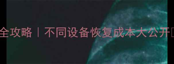 图片 🔥数据恢复价格全攻略｜不同设备恢复成本大公开✅最新报价清单1