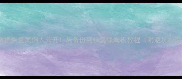 数据恢复案例大公开从备份到恢复保姆级教程附避坑指南