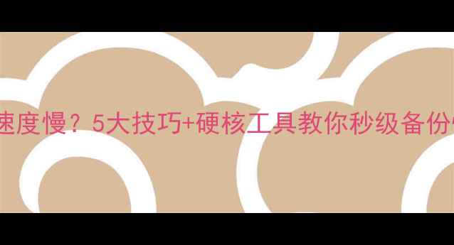 数据恢复速度慢5大技巧硬核工具教你秒级备份恢复