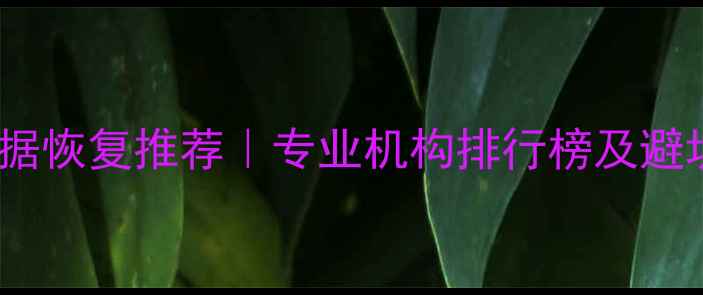 杭州数据恢复推荐专业机构排行榜及避坑指南