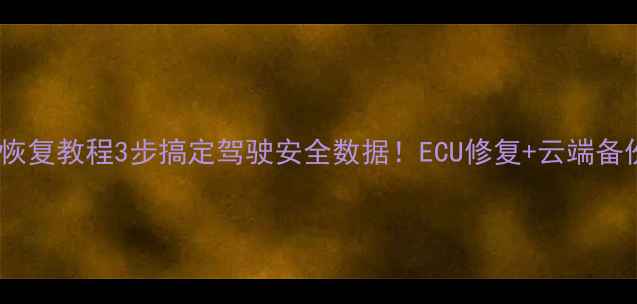 图片 🔥特斯拉数据恢复教程3步搞定驾驶安全数据！ECU修复+云端备份全攻略🚗💻1