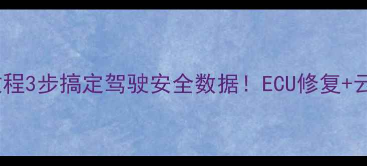 图片 🔥特斯拉数据恢复教程3步搞定驾驶安全数据！ECU修复+云端备份全攻略🚗💻2