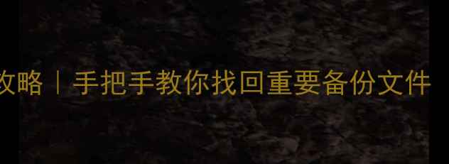 白盘数据恢复全攻略手把手教你找回重要备份文件附免费工具推荐