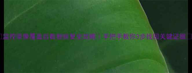图片 🔥监控录像覆盖后数据恢复全攻略｜手把手教你3步找回关键证据💻1