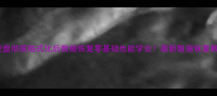 图片 🔥硬盘彻底格式化后数据恢复零基础也能学会！最新数据恢复教程1