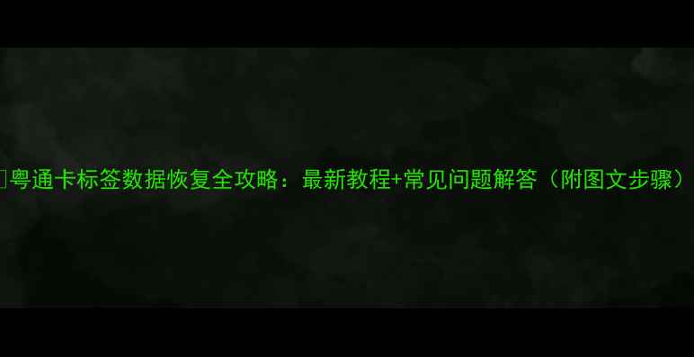 图片 🔥粤通卡标签数据恢复全攻略：最新教程+常见问题解答（附图文步骤）2