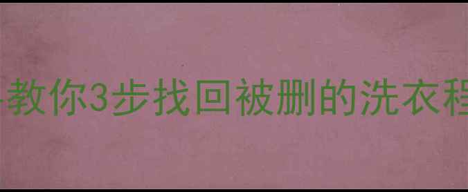 自动洗衣机数据恢复全攻略手把手教你3步找回被删的洗衣程序照片维修记录附实用工具推荐