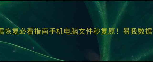 图片 🔥重庆涪陵区数据恢复必看指南手机电脑文件秒复原！易我数据恢复服务全💻✨1