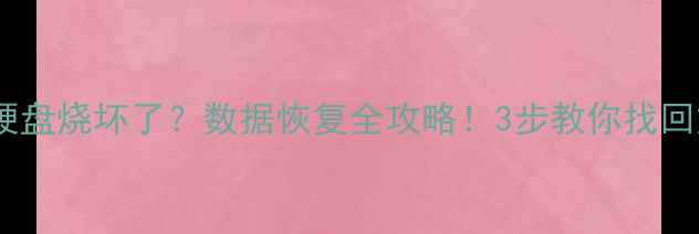 图片 🔥💥芯片硬盘烧坏了？数据恢复全攻略！3步教你找回重要文件2