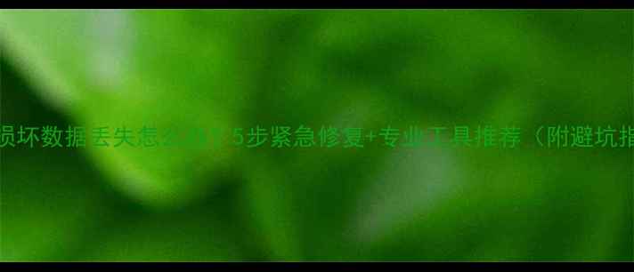 图片 🔧U盘损坏数据丢失怎么办？5步紧急修复+专业工具推荐（附避坑指南）2