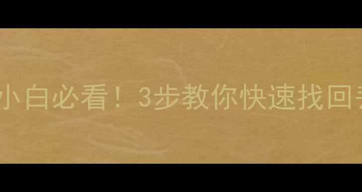 图片 🔧U盘数据恢复大师兄MB｜小白必看！3步教你快速找回丢失文件（附免费工具）📁