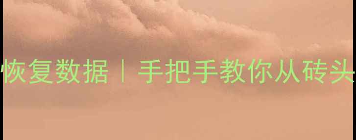 图片 🔧更换硬盘主板刷BIOS恢复数据｜手把手教你从砖头硬盘里抢救重要文件📁