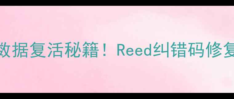 图片 🔧硬盘数据复活秘籍！Reed纠错码修复指南全