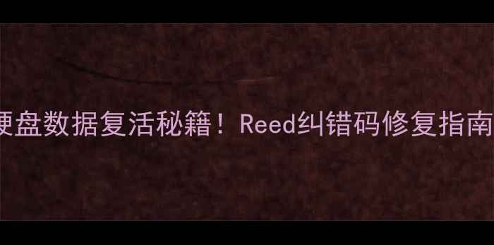 图片 🔧硬盘数据复活秘籍！Reed纠错码修复指南全2