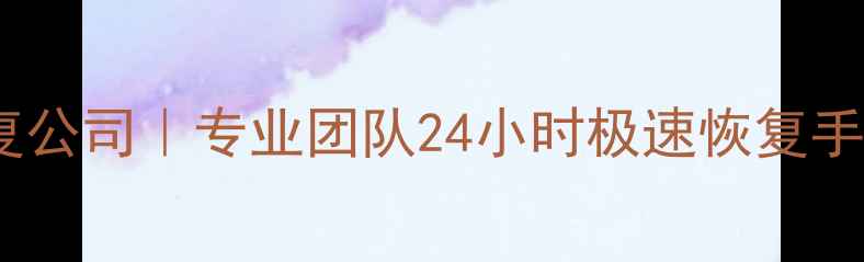 图片 🔧雷州电脑数据恢复公司｜专业团队24小时极速恢复手机电脑文件数据📁1